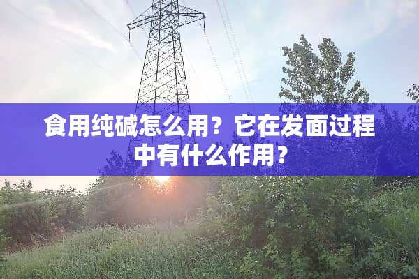 食用纯碱怎么用？它在发面过程中有什么作用？