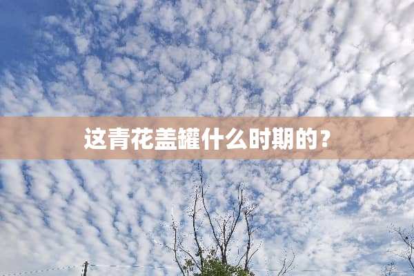这青花盖罐什么时期的？