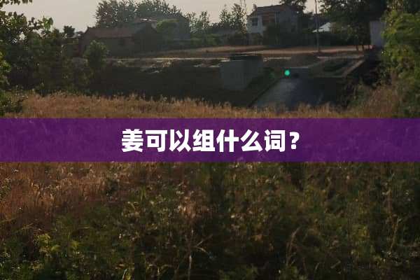 姜可以组什么词？