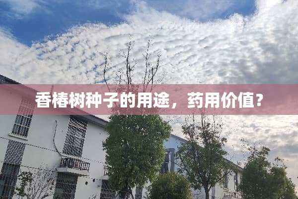 香椿树种子的用途，药用价值？