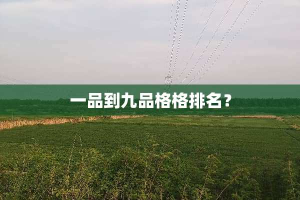 一品到九品格格排名？
