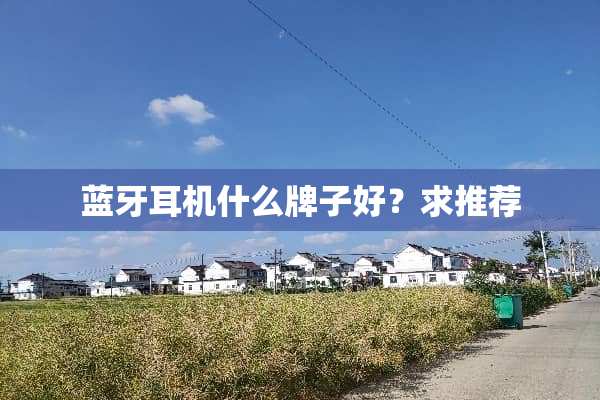 蓝牙耳机什么牌子好？求推荐