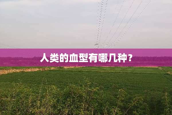 人类的血型有哪几种？