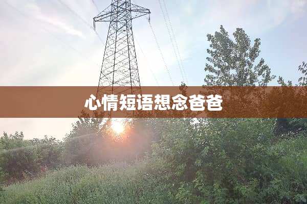 心情短语想念爸爸