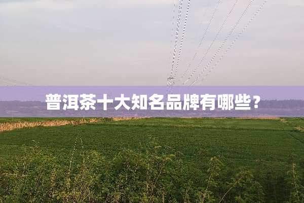 普洱茶十大知名品牌有哪些？