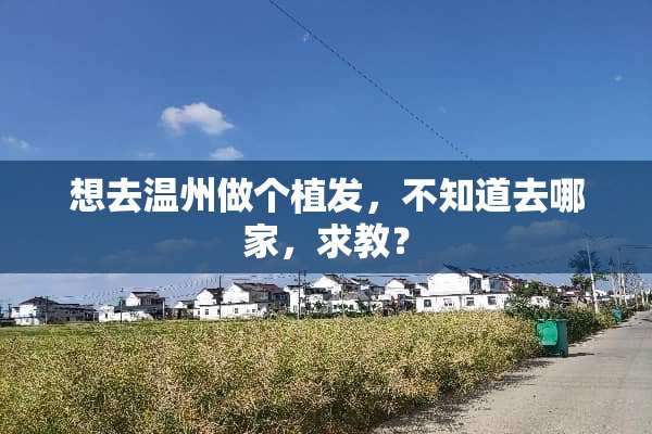 想去温州做个植发，不知道去哪家，求教？
