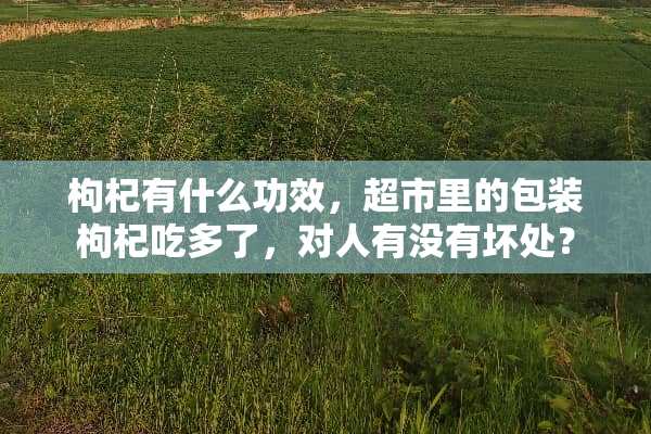 枸杞有什么功效，超市里的包装枸杞吃多了，对人有没有坏处？