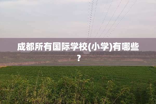 成都所有国际学校(小学)有哪些？