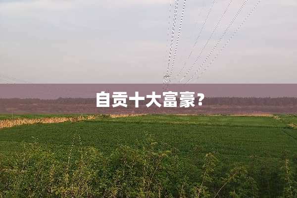 自贡十大富豪？