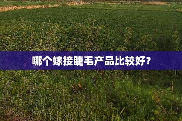 哪个嫁接睫毛产品比较好？