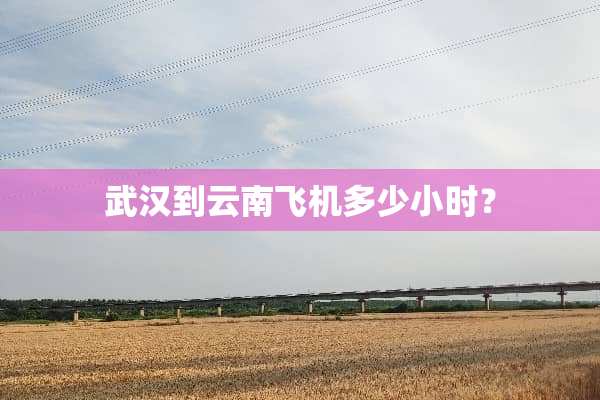 武汉到云南飞机多少小时？
