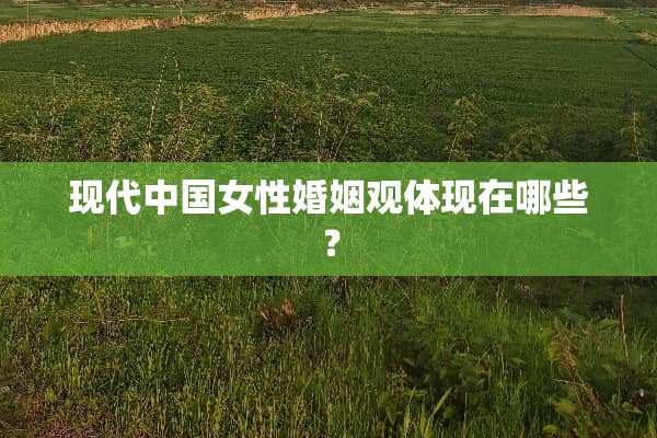 现代中国女性婚姻观体现在哪些？