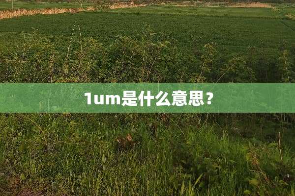 1um是什么意思？