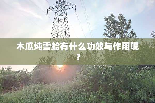 木瓜炖雪蛤有什么功效与作用呢？