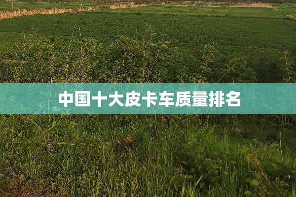 中国十大皮卡车质量排名