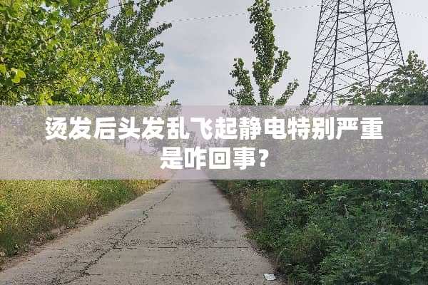 烫发后头发乱飞起静电特别严重是咋回事？