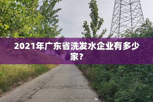2021年广东省洗发水企业有多少家？