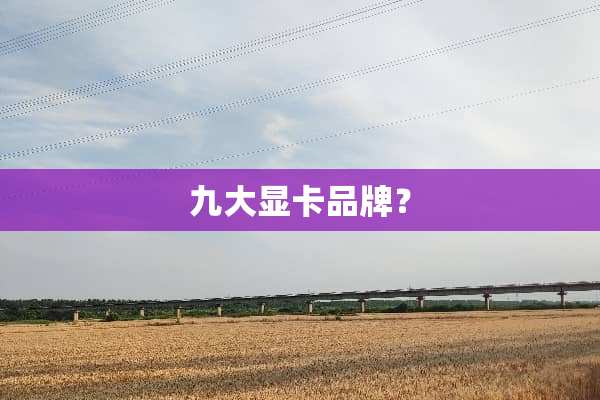 九大显卡品牌？