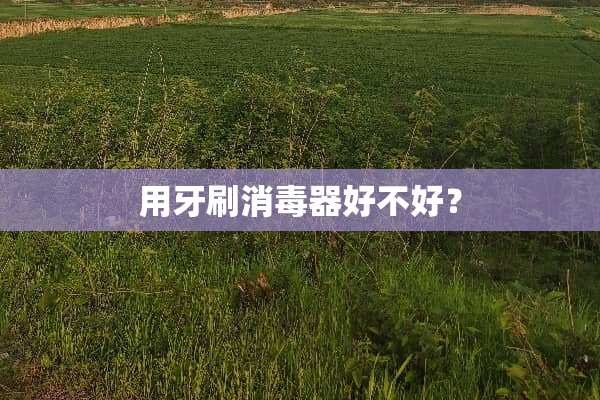 用牙刷消毒器好不好？