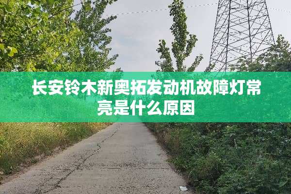 长安铃木新奥拓发动机故障灯常亮是什么原因