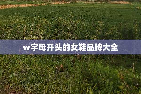 w字母开头的女鞋品牌大全
