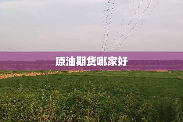 原油期货哪家好