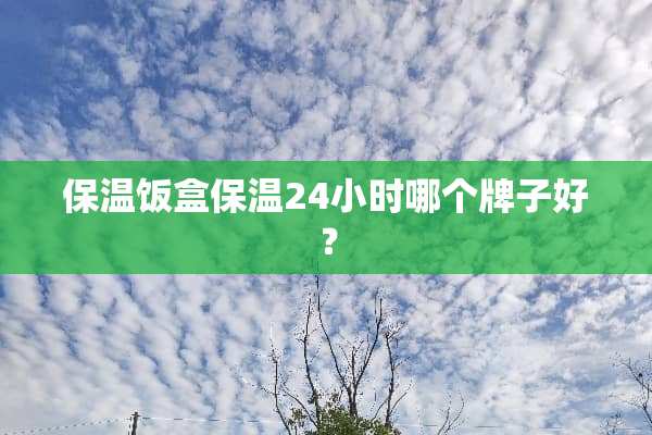保温饭盒保温24小时哪个牌子好？