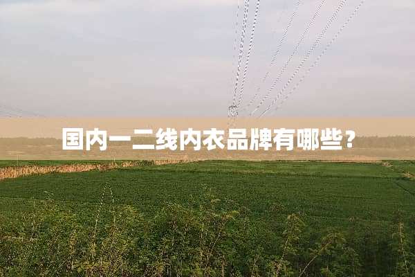 国内一二线**品牌有哪些？