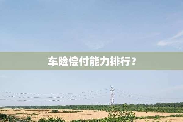 车险偿付能力排行？