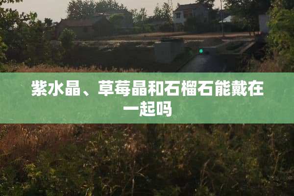 紫水晶、草莓晶和石榴石能戴在一起吗