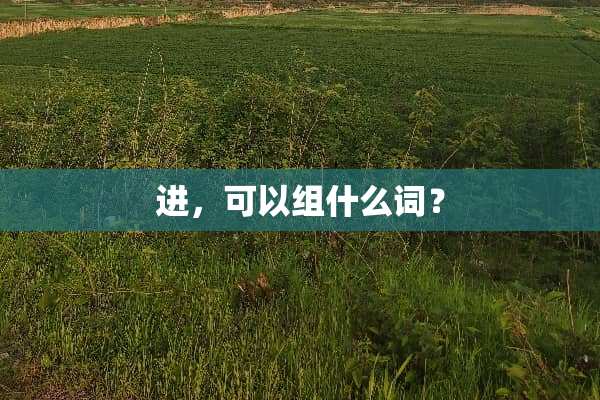进，可以组什么词？