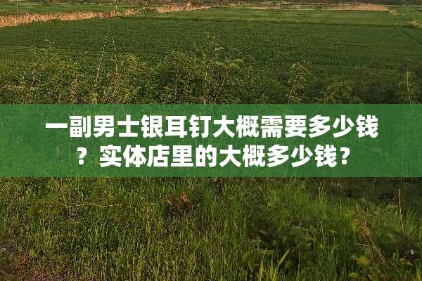 一副男士银耳钉大概需要多少钱？实体店里的大概多少钱？