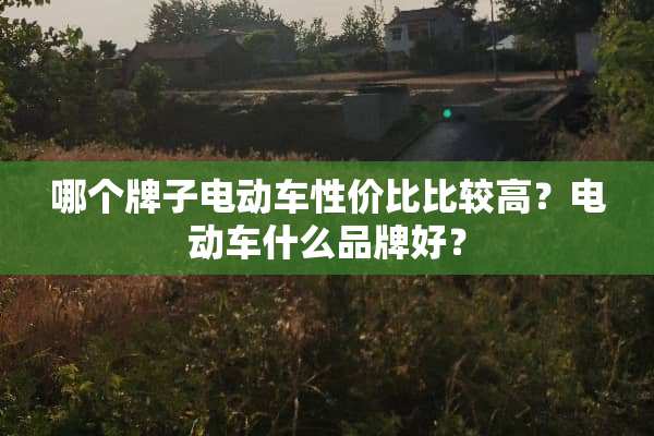 哪个牌子电动车性价比比较高？电动车什么品牌好？