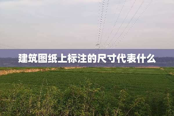 建筑图纸上标注的尺寸代表什么