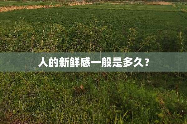 人的新鲜感一般是多久？
