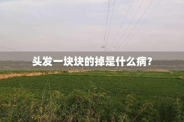 头发一块块的掉是什么病？