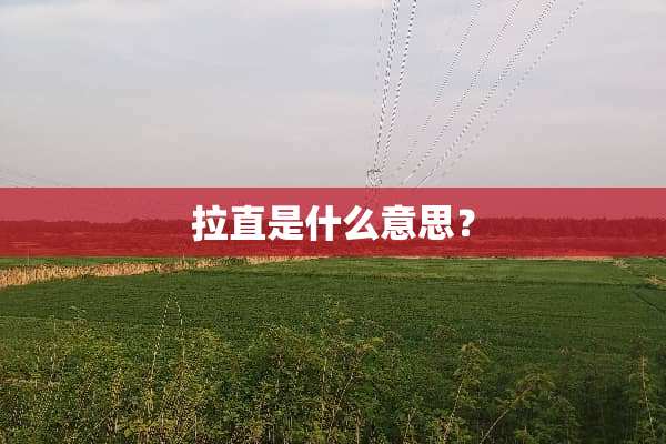 拉直是什么意思？