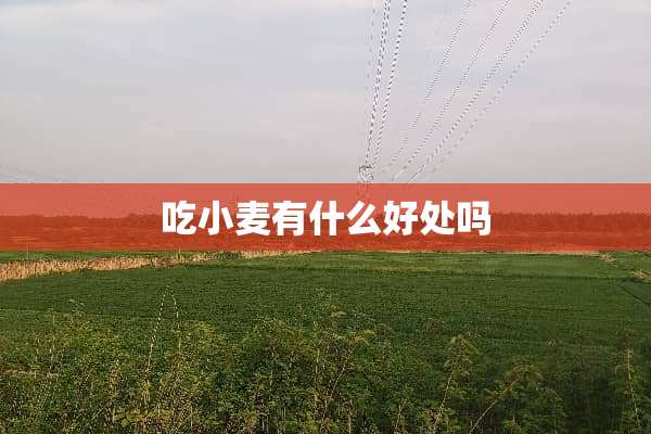 吃小麦有什么好处吗