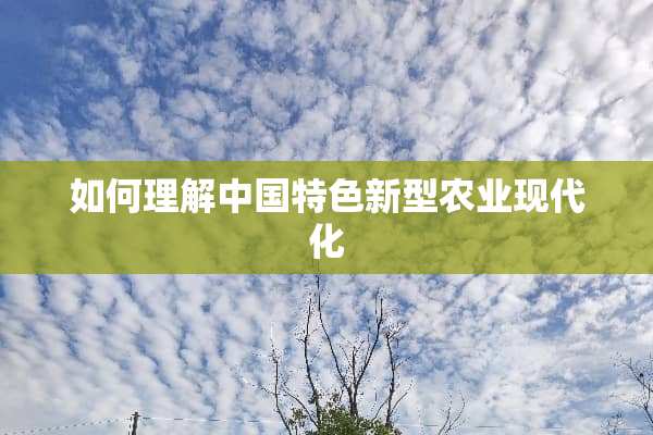 如何理解中国特色新型农业现代化