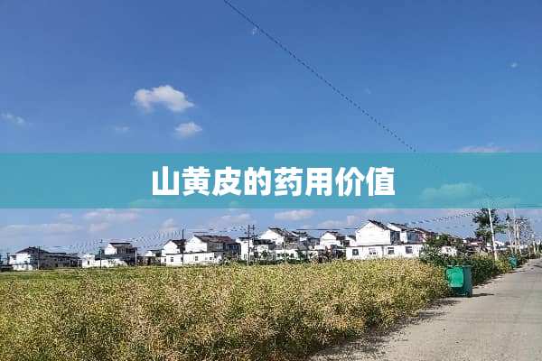 山黄皮的药用价值
