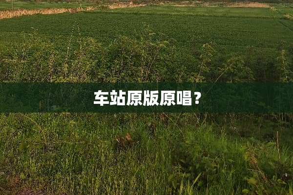 车站原版原唱？