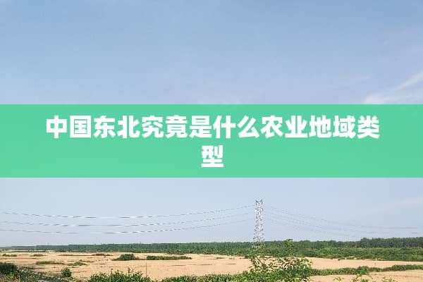 中国东北究竟是什么农业地域类型