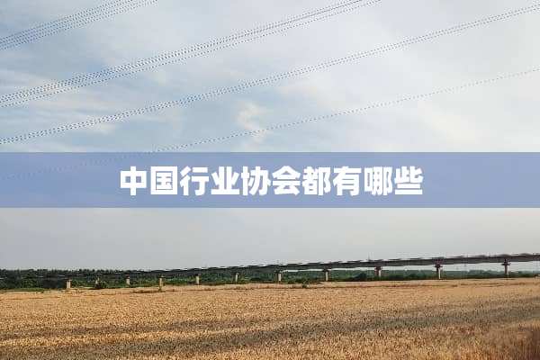 中国行业协会都有哪些