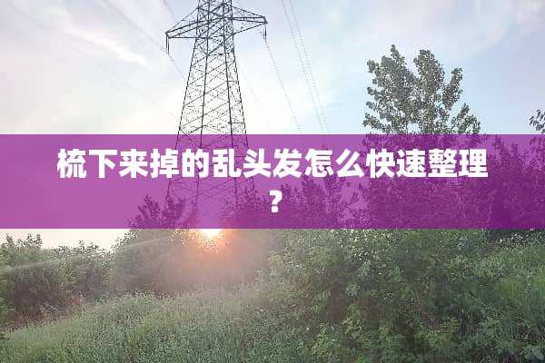 梳下来掉的乱头发怎么快速整理？