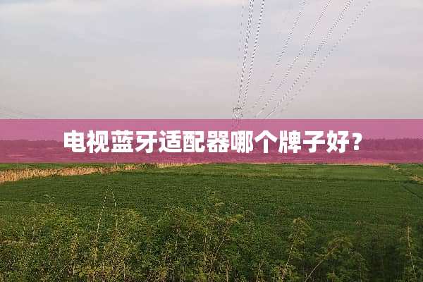 电视蓝牙适配器哪个牌子好？