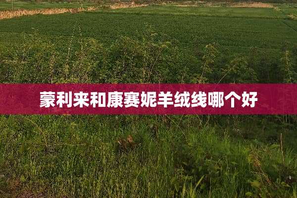 蒙利来和康赛妮羊绒线哪个好