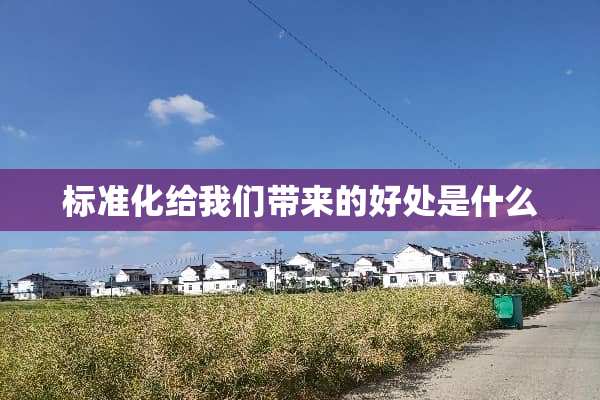 标准化给我们带来的好处是什么