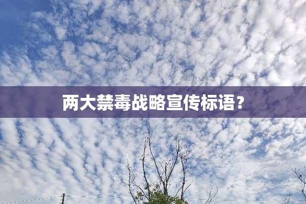 两大禁毒战略宣传标语？