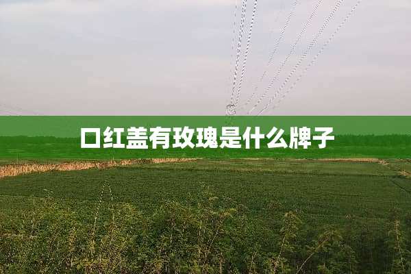 口红盖有玫瑰是什么牌子