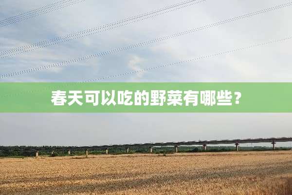 春天可以吃的野菜有哪些？